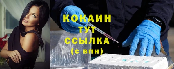 прущий лед Каменка