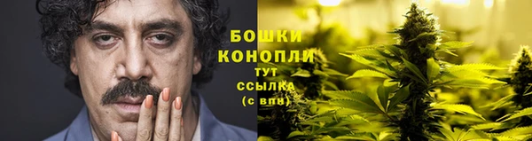 прущая мука Каменногорск