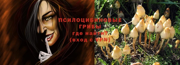 прущий лед Каменка