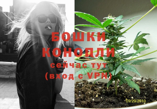 прущая мука Каменногорск