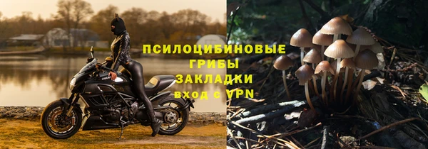 ALPHA PVP Орск